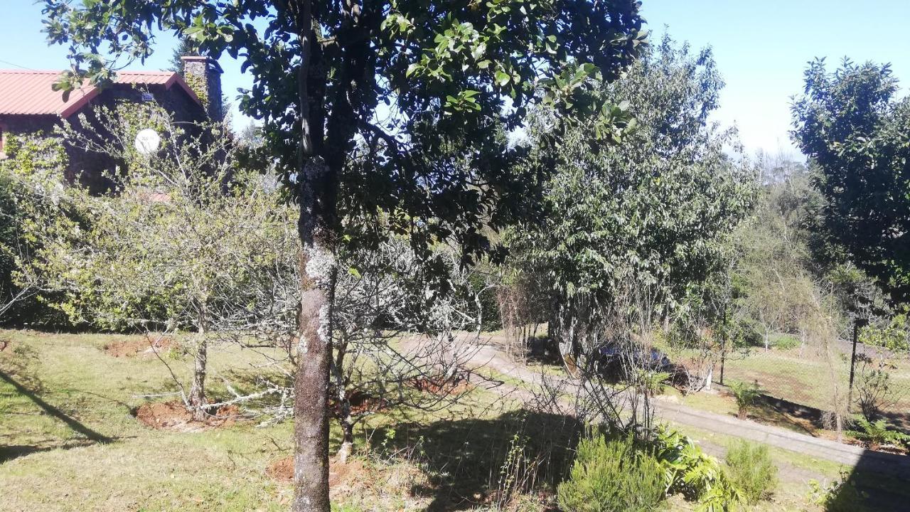 Chalet Pico Das Pedras Santana  Eksteriør bilde
