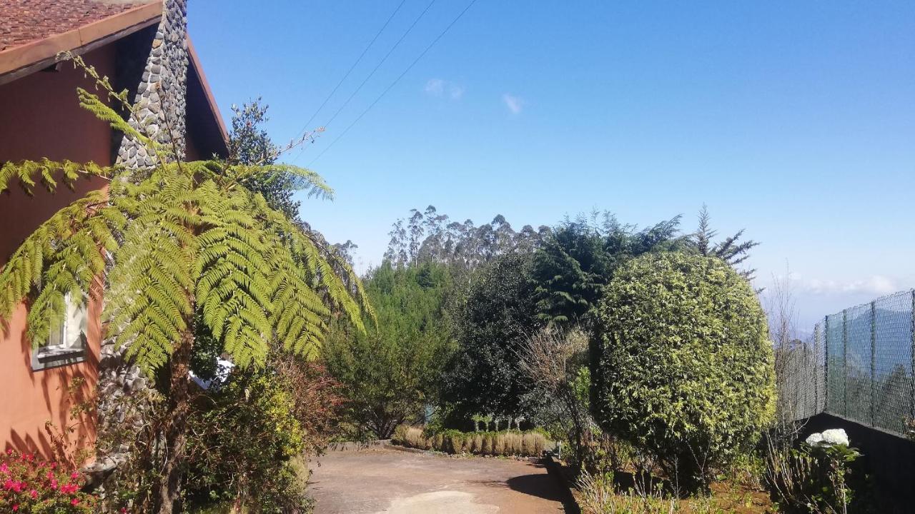 Chalet Pico Das Pedras Santana  Eksteriør bilde