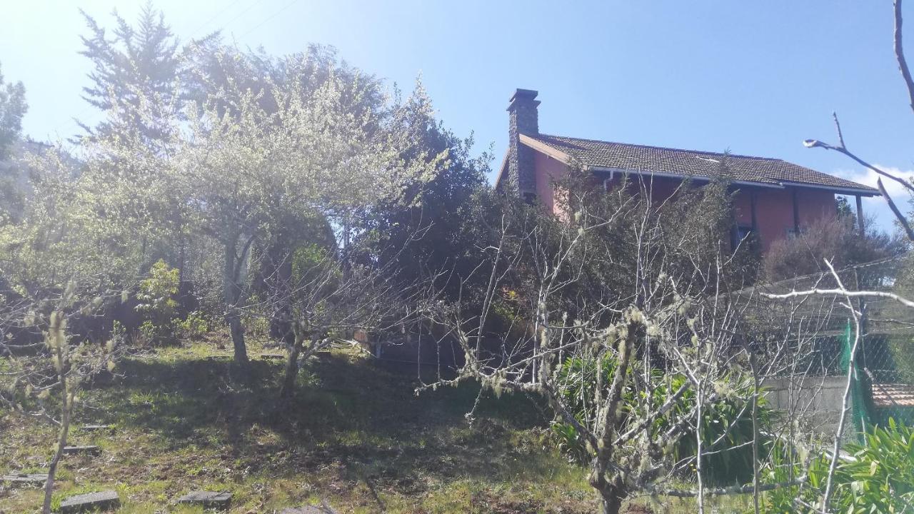 Chalet Pico Das Pedras Santana  Eksteriør bilde