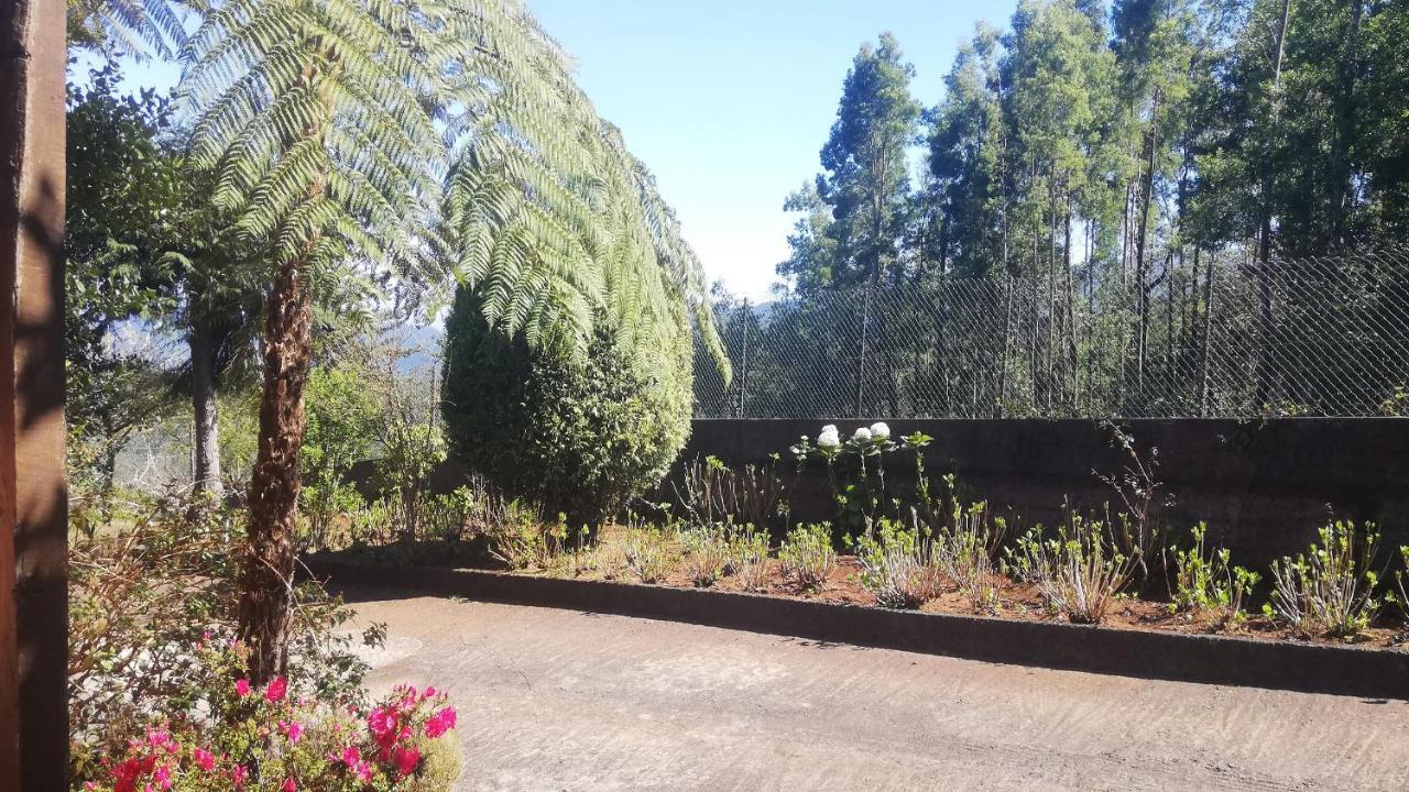 Chalet Pico Das Pedras Santana  Eksteriør bilde