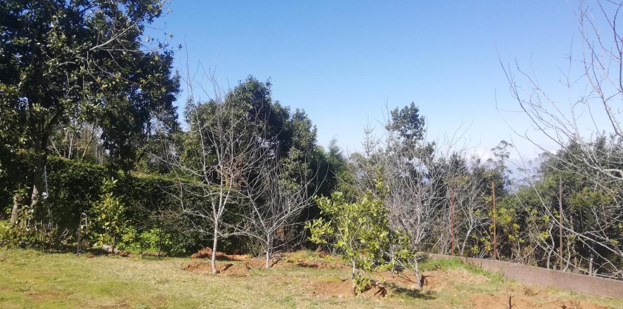Chalet Pico Das Pedras Santana  Eksteriør bilde