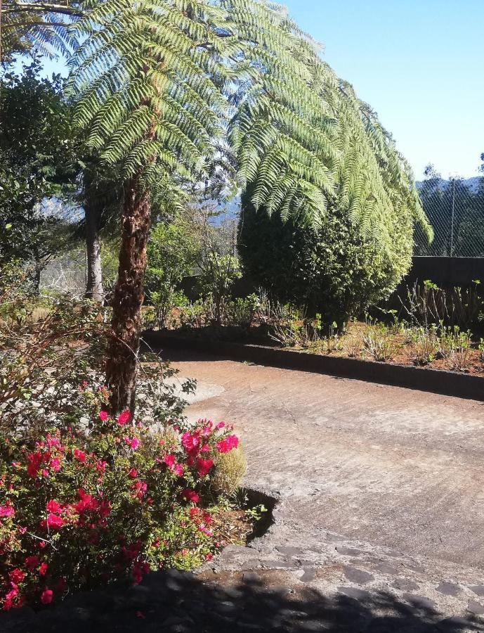 Chalet Pico Das Pedras Santana  Eksteriør bilde