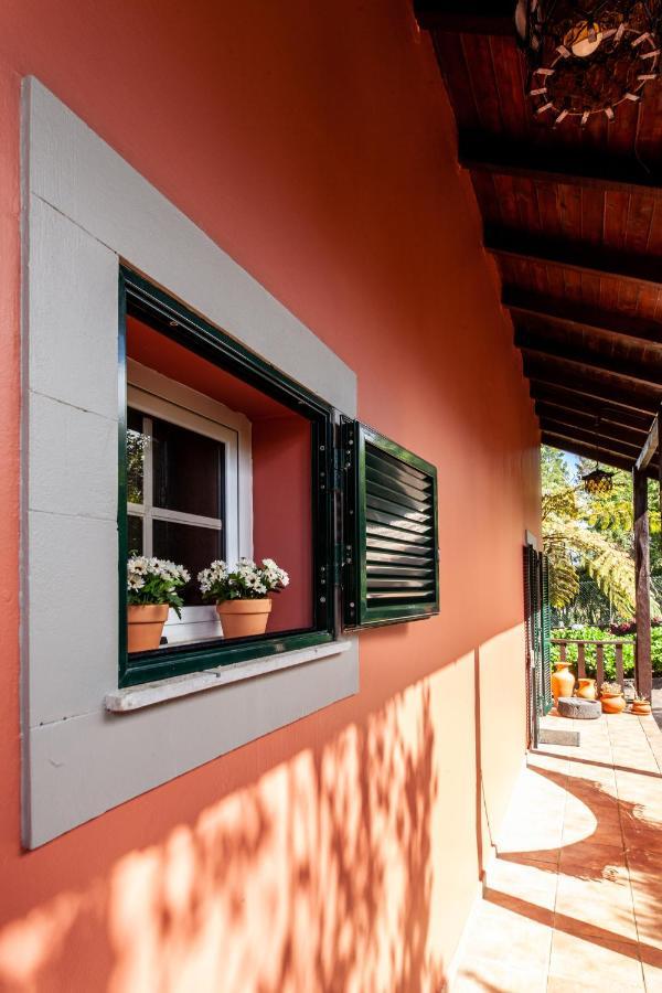 Chalet Pico Das Pedras Santana  Eksteriør bilde