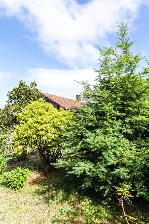 Chalet Pico Das Pedras Santana  Eksteriør bilde
