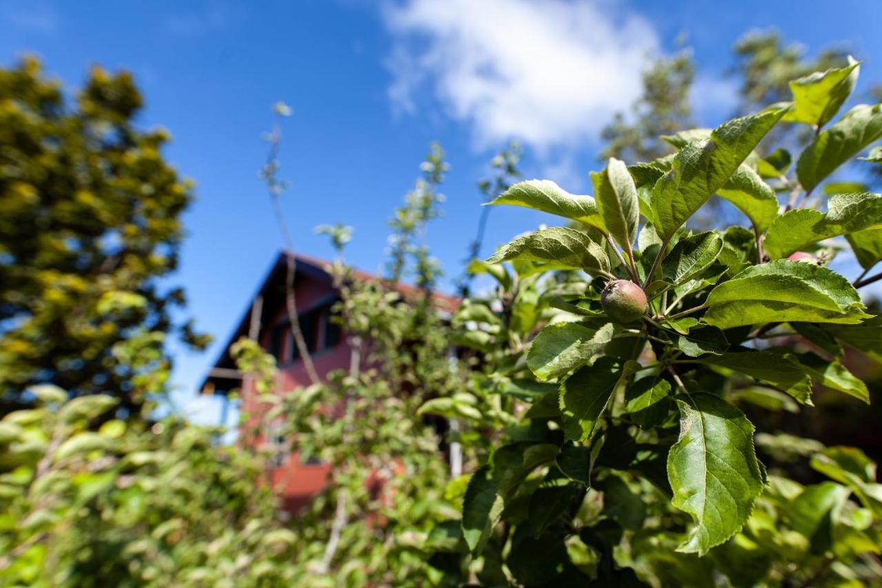 Chalet Pico Das Pedras Santana  Eksteriør bilde