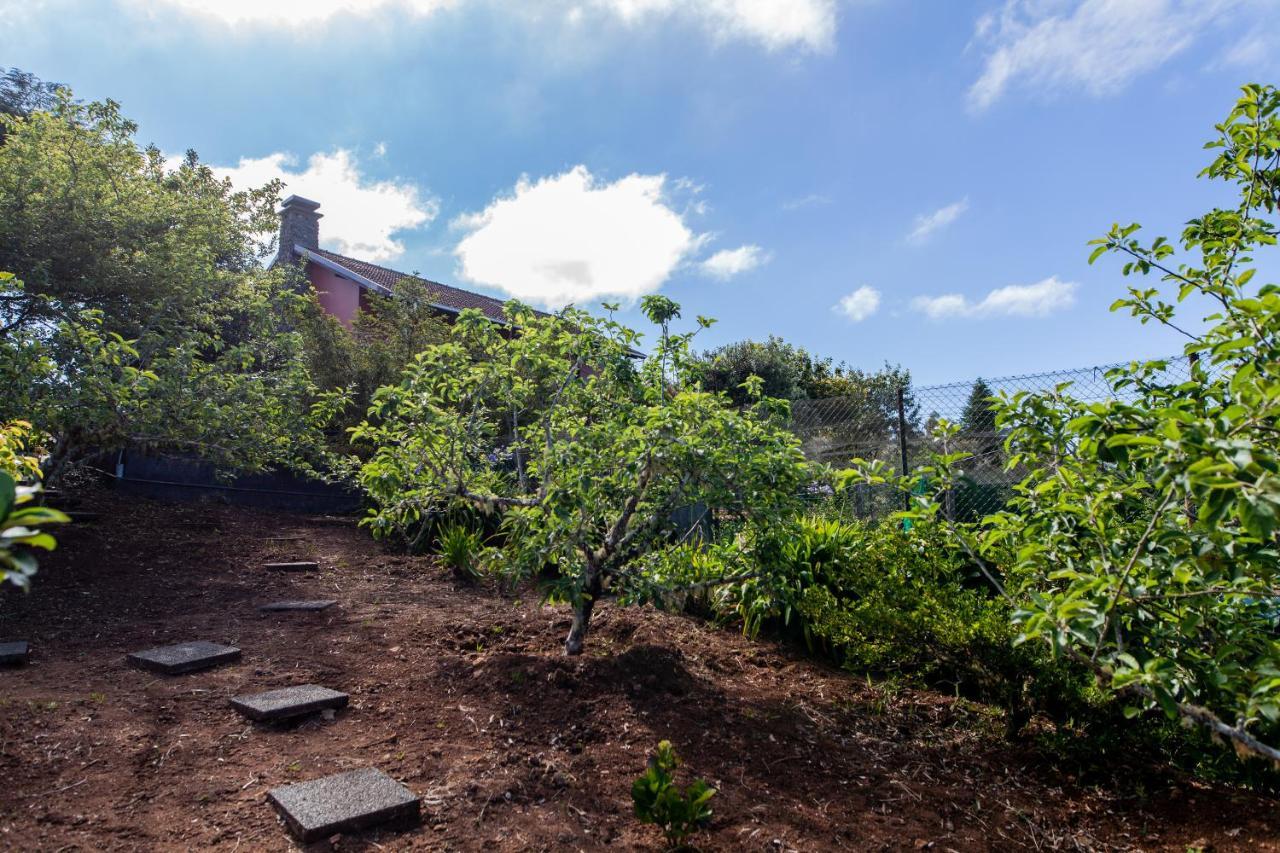 Chalet Pico Das Pedras Santana  Eksteriør bilde